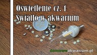 Oświetlenie cz1. Światło w akwarium