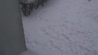 Monitoring osiedlowy  to jeszcze normalne?