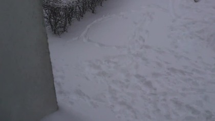 Monitoring osiedlowy  to jeszcze normalne?