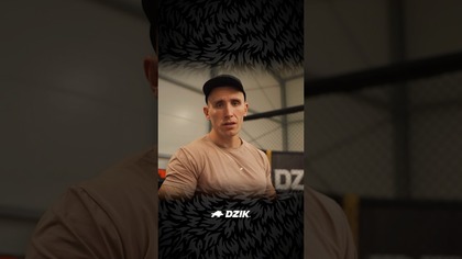 Owca mocno o Gorylach