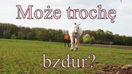 Mity jeździeckie cz. II
