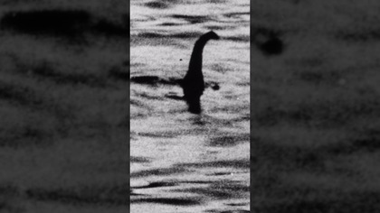 Czy słyszałeś o potworze z Loch Ness? #wartax #horror #memes #thelastofus #film #potwór