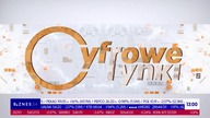 Biznes 24 - Początek magazynu "Cyfrowe rynki" (21. 11. 2025)