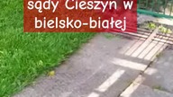 Anna Cieślar twórca tej patologii znęca się razem z Izabelą misiarz Millor służbami w Cieszynie