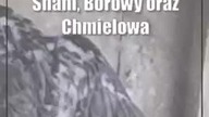 Lubelskie sokoły z nowoczesnym sprzętem