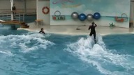 Delfinarium - delfiny wyrzucają treserki z wody