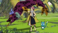 Fairy Tail odc20