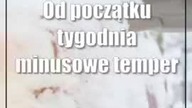 Świdnik: Straż Miejska uruchomi twój samochód