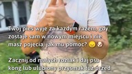 Jak pomóc psu radzić sobie z samotnością?  
#Psy #ZaburzeniaLękowe #Samość
