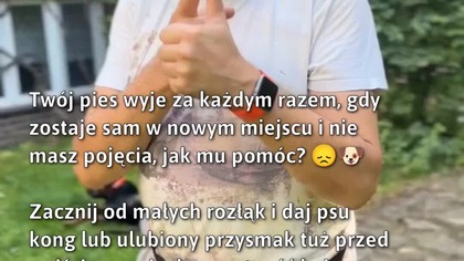 Jak pomóc psu radzić sobie z samotnością?  
#Psy #ZaburzeniaLękowe #Samość