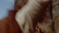 13.  wojownik.  (1999)