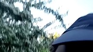 Słoneczny wieczorny spacer z Psem Rubikiem po lesie! Koszalin i okolice! Q&A z Sarmatą! Dyskusje!