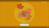 Music Box Polska - Dżingiel reklamowy z jesieni (od 23. 09. 2024)