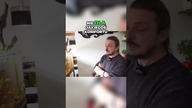 Duże akwarium a wilgoć ?