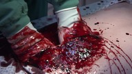 Autopsy (2008) [Lektor PL]