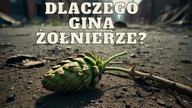 Dlaczego na poligonach giną żołnierze WP?