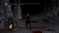 Gravelord Nito NG+7 (Ultra Greatsword / No Damage) Dark Souls Remastered