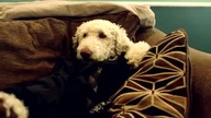 Dziwaczna zamiana ról