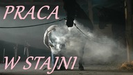 Zawody związane ze stajnią