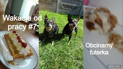 Nasza rutyna podczas urlopu