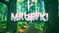 Duże Wiwarium dla Camponotus nicobarensis !! Duży projekt!! Cz. 1