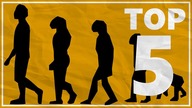 TOP 5 Transformacji w Bajkach