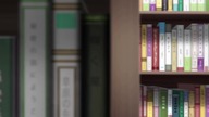 DOMESTIC NO KANOJO - 6 PL