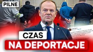 PILNE.  GANGI IMIGRANTÓW W POLSCE.  TUSK ZAPOWIADA DEPORTACJE