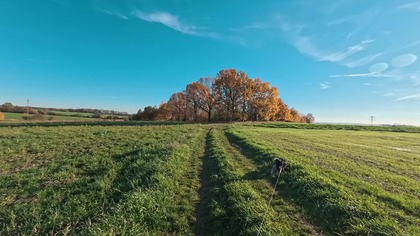 Łubie, Łubki, Księży Las, Zbrosławice, Śląsk, Polska