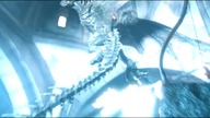 Phenomenal Wyverns compilation