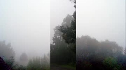 Struktura czasu / Structure of time