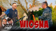 Wiosna - Szwagier SHOT