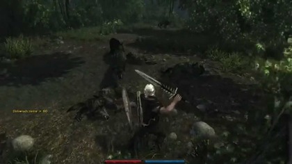 Risen fight with 8 wolfs.avi