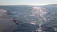 Plaża! Pusta i spokojna dzikia plaża! Łazy Uroczyste otwarcie sezonu plażowego 2024!