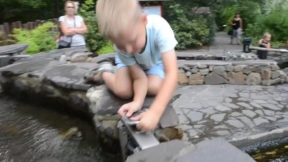 wycieczka rodzinna do zoo 2018 r i budowanie tamy zabawa wodą