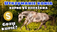 ILE KOSZTUJE UTRZYMANIE PUNTY? GDZIE JĄ KUPIŁAM? + konkurs (opis)