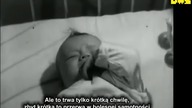 ŻYCIE SPOŁECZNE - POJĘCIA PODSTAWOWE CZ.  10