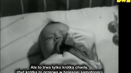 ŻYCIE SPOŁECZNE - POJĘCIA PODSTAWOWE CZ.  10