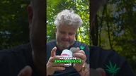 Zaskakujace Aromaty Spektrum, ktore Cie Zadziwi!