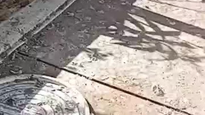 Po sprzątaniu gołebnika  #pigeon #fus #hodowlagolebi #birds #golebie #sprzątanie