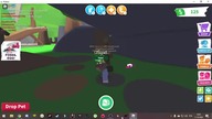 ROBLOX ADOPT ME