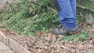 #shortsŚciółkowanie trawą grządki w szklarni