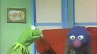 Ulica Sezamkowa - Kermit i Grover Sprzedawca okular&oacute;w przeciwsłonecznych (Wersja Angieska)
