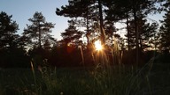 Trzyglow (Triglav) - Night in Forest by Grind Peace