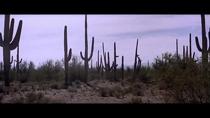 Niebezpieczni kompani 1961 lektor pl