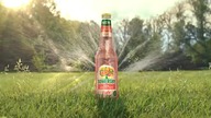 Somersby - Pink Grapefruit