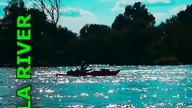 Vistula River - #shorts