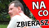 Na co zbierasz?