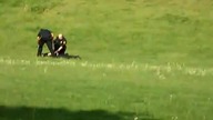 Bezkarność policji