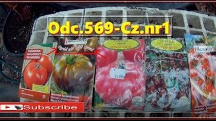 Odc. 569-Cz. nr1-Polecane smaczne pomidory, wysiew pomidorów 2019r, uprawa.